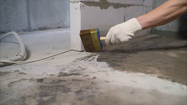24/7 Emergency Basement Waterproofing experts in DeWitt, MI